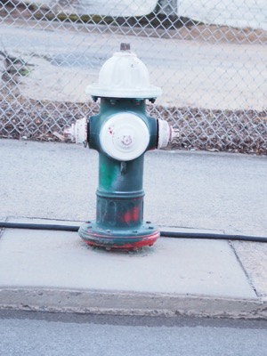 NC Folk Festival photograph 7